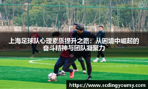 yy易游体育官网