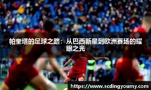 yy易游体育官网