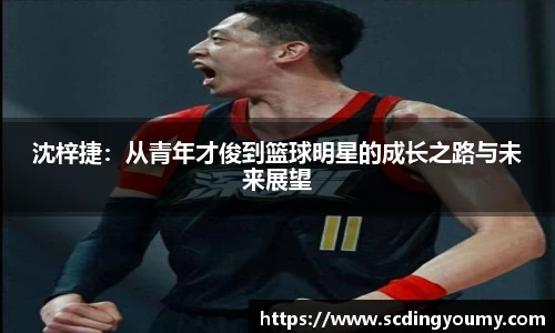 jn体育官网