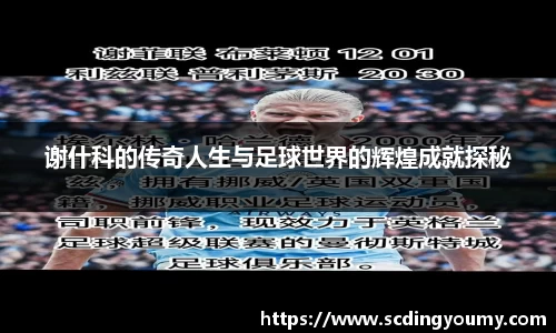 谢什科的传奇人生与足球世界的辉煌成就探秘